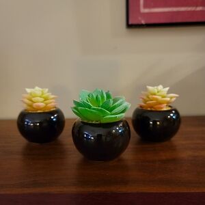 Set of 3 Mini Faux Succulents in Black Ceramic Planters